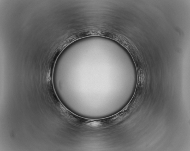 X0000112720610200909101448