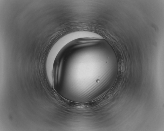 X0000112720611200909101448