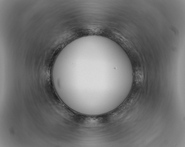 X0000112720613200909101448