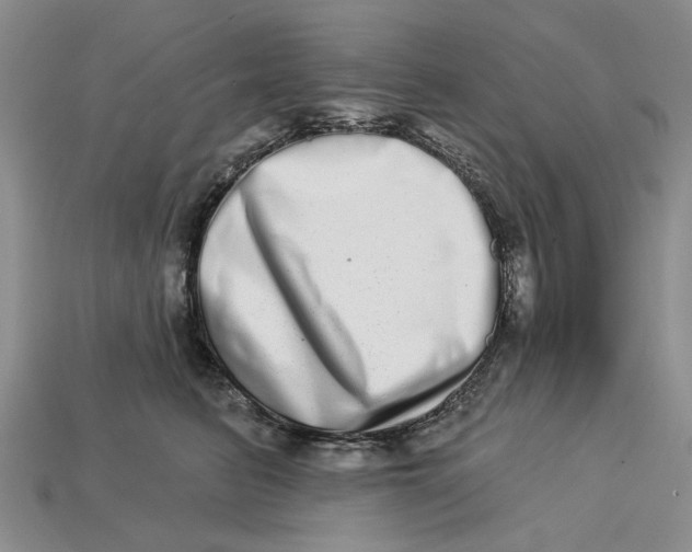 X0000112720615200909101448