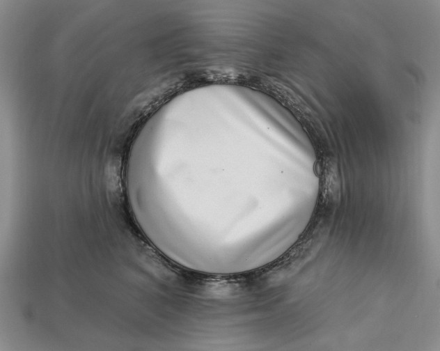 X0000112720616200909101448