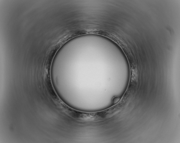 X0000112720618200909101448