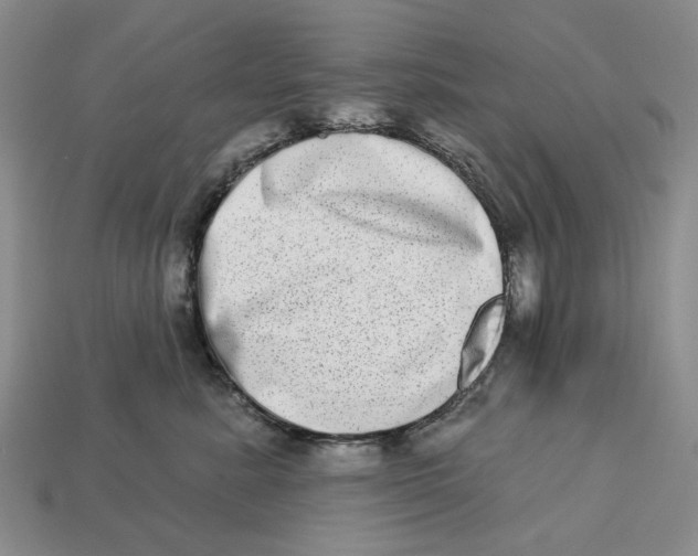 X0000112720619200909101448