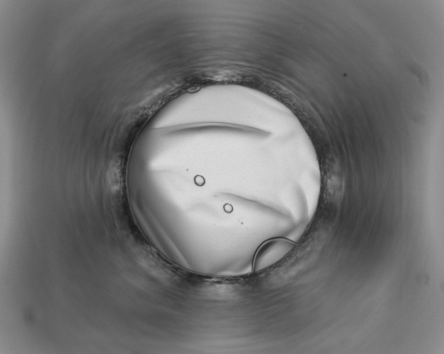 X0000112720620200909101448