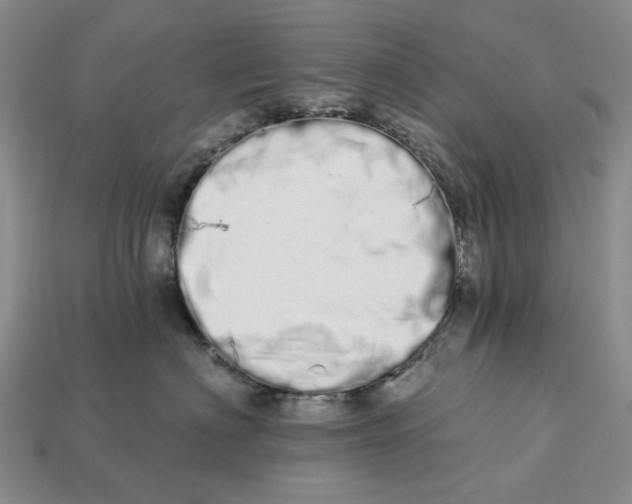 X0000112720622200909101448