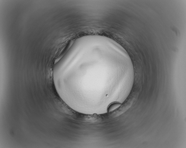 X0000112720624200909101448