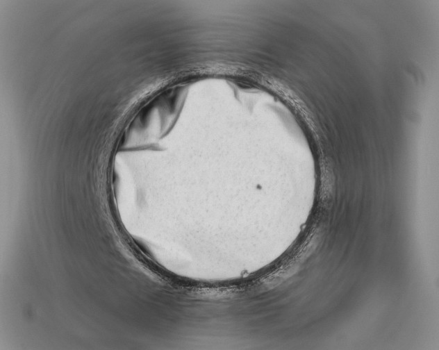 X0000112720625200909101447