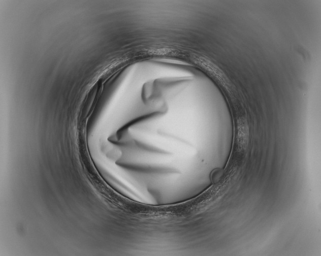 X0000112720626200909101447