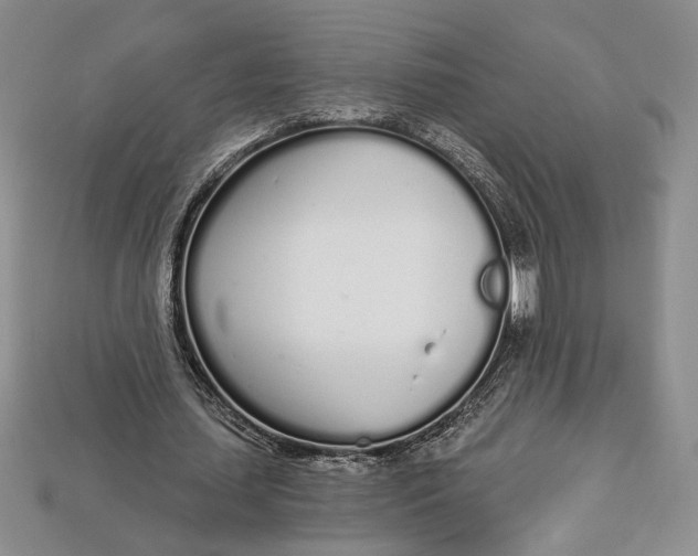 X0000112720627200909101447