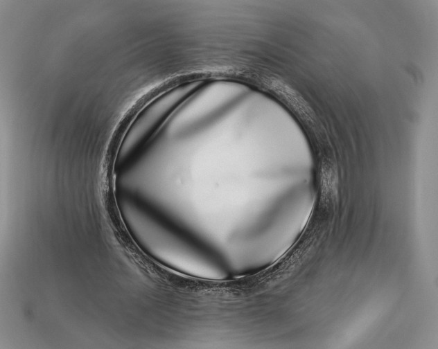 X0000112720628200909101447