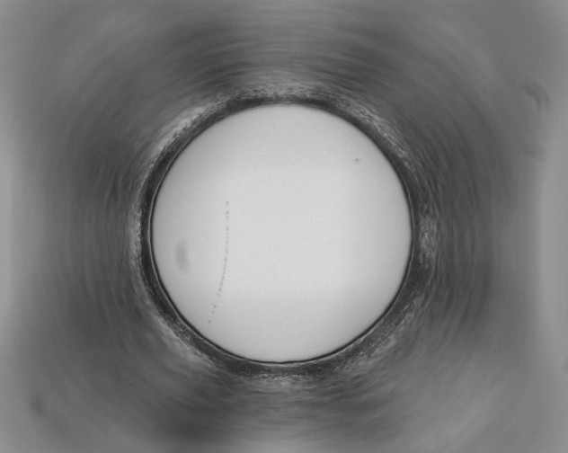 X0000112720629200909101447