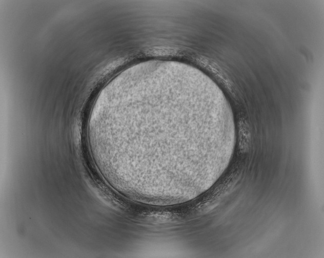 X0000112720631200909101447