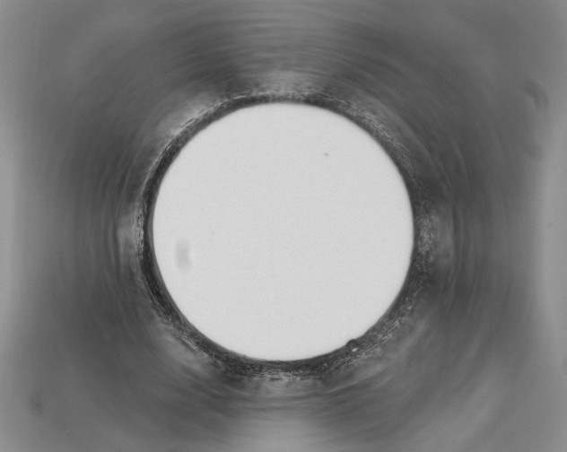 X0000112720632200909101447