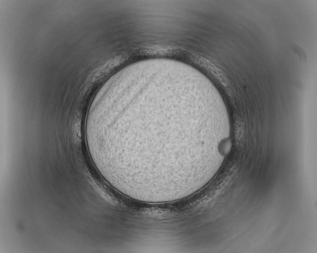 X0000112720633200909101447