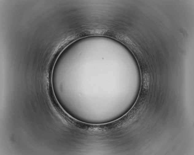 X0000112720634200909101447