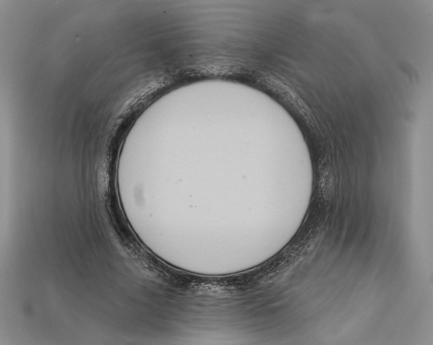 X0000112720635200909101447