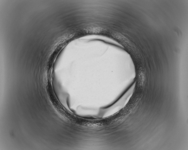 X0000112720638200909101447