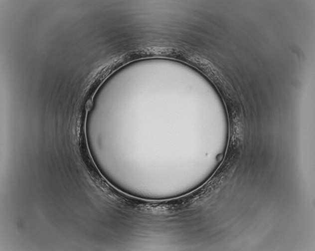 X0000112720640200909101447