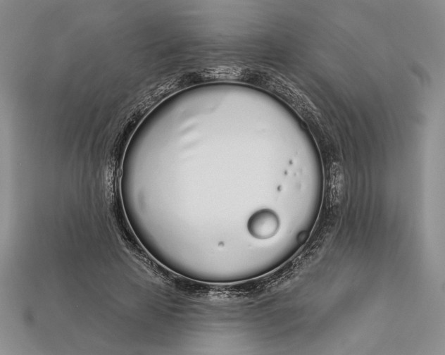 X0000112720641200909101447