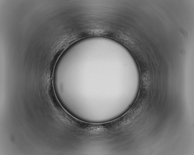 X0000112720642200909101447