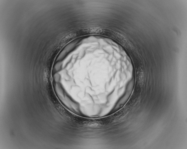 X0000112720643200909101448