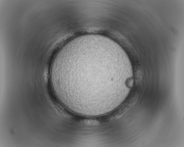 X0000112720644200909101448