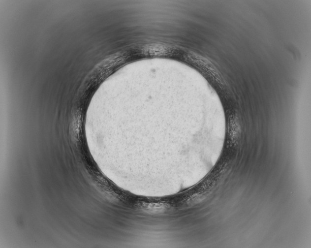 X0000112720645200909101448