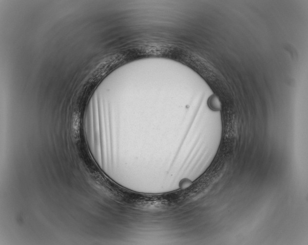 X0000112720646200909101448