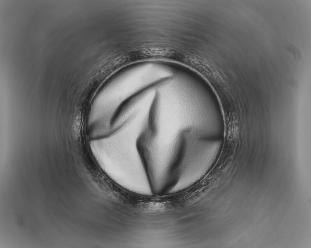 X0000112720647200909101448