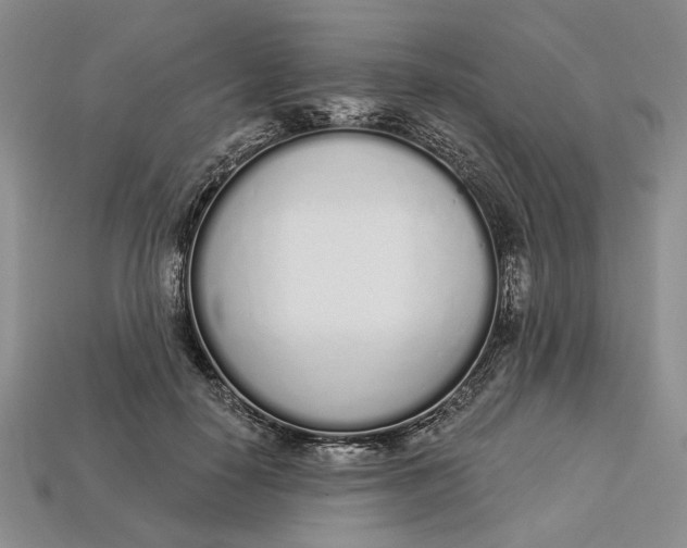 X0000112720650200909101448