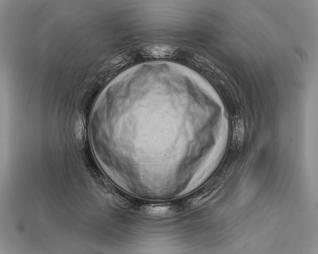 X0000112720651200909101448