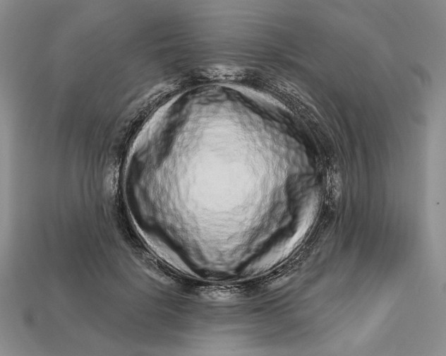 X0000112720652200909101448