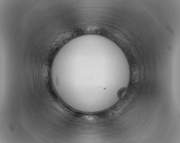 X0000112720654200909101448