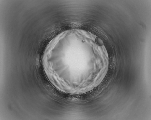 X0000112720655200909101448