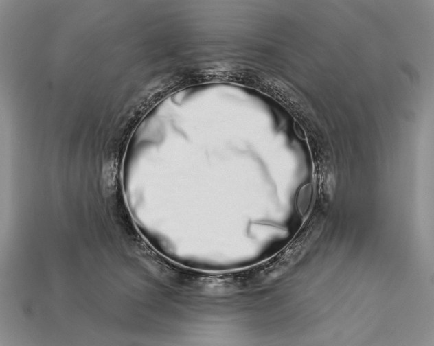 X0000112720660200909101448