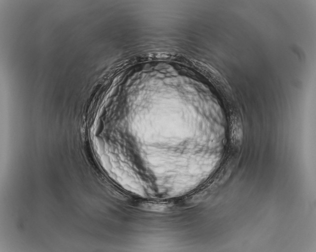 X0000112720661200909101448