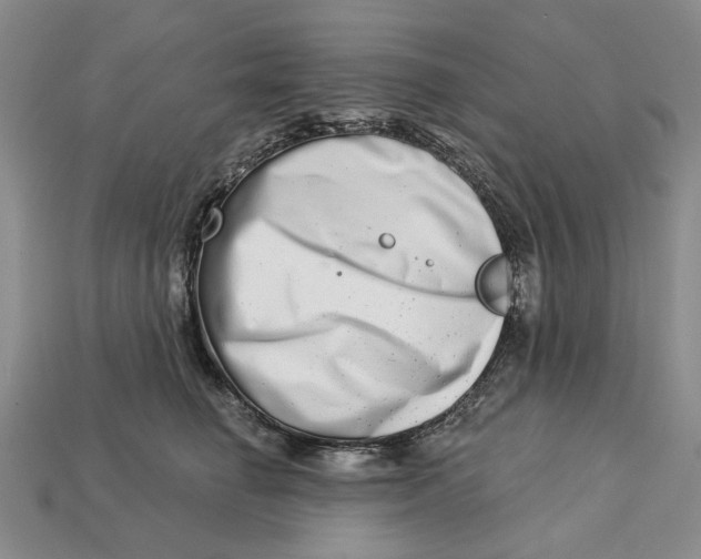 X0000112720662200909101448