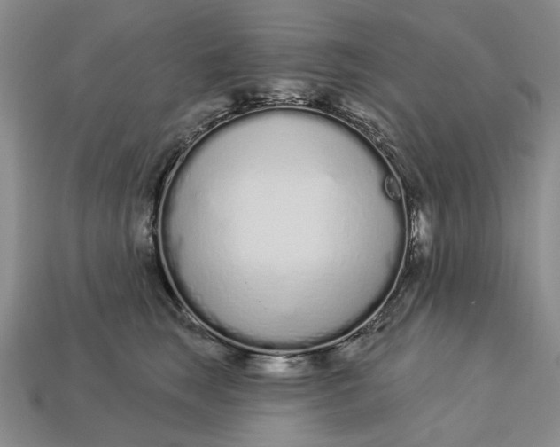 X0000112720663200909101448