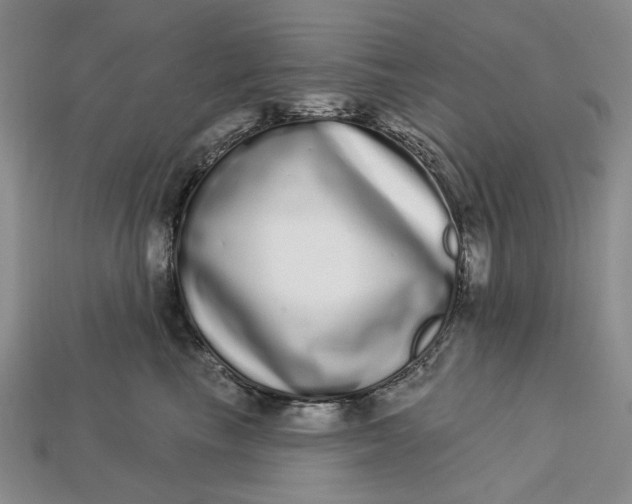 X0000112720665200909101448