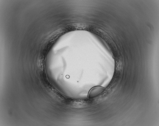 X0000112720666200909101448