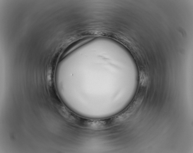 X0000112720670200909101448