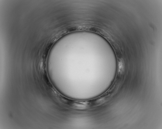 X0000112720671200909101448