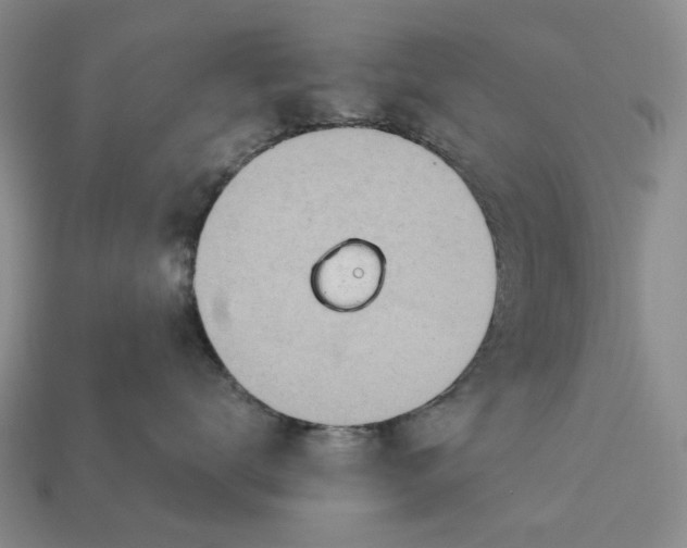 X0000112720672200909101448