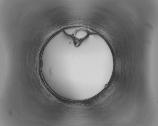 X0000112720673200909101447