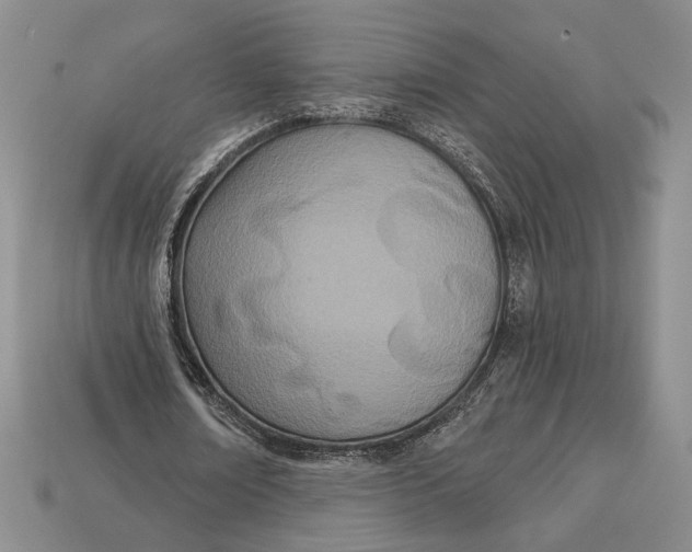 X0000112720674200909101447