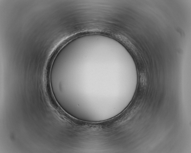 X0000112720676200909101447