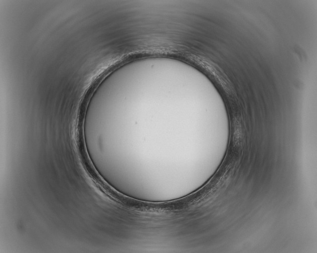 X0000112720677200909101447