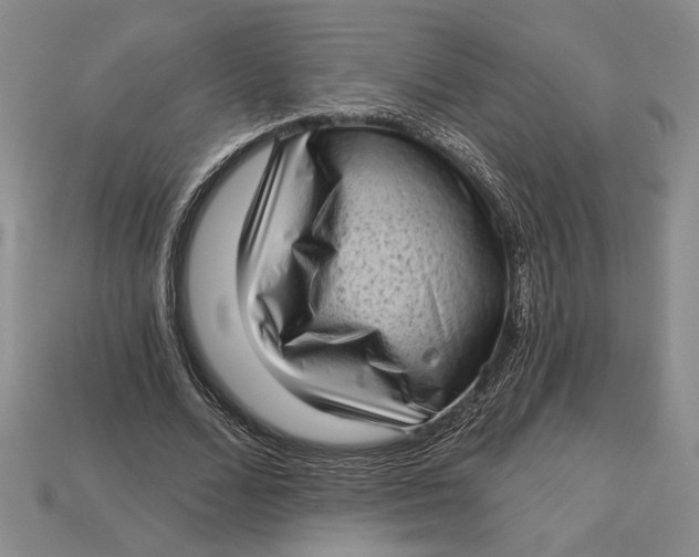 X0000112720680200909101447