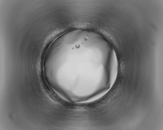 X0000112720682200909101447