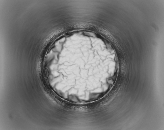 X0000112720683200909101447